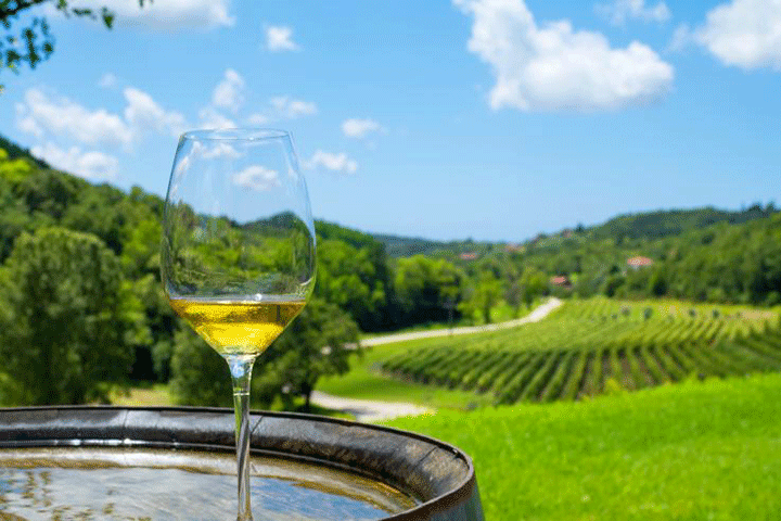 5 nước sản xuất rượu ngon nhất thế giới 1 5 nước sản xuất rượu ngon nhất thế giới 1