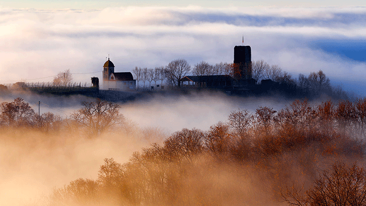 rượu vang của ý 3