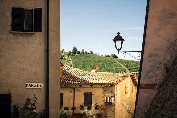 rượu vang của ý 4