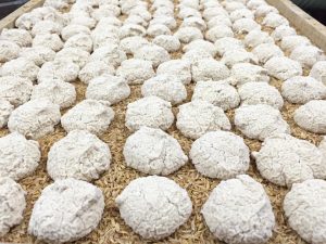 Cách làm men rượu ngon