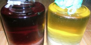 Ngăn ngừa cao huyết áp và có lợi cho tim mạch