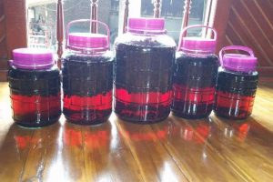 Chuẩn bị nguyên liệu ngâm rượu