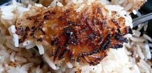 Cách xử lý rượu bị chua