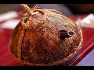 Cách nấu rượu dừa