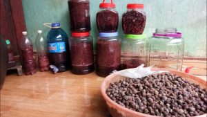 Ngâm rượu sim nguyên quả Ngâm rượu sim nguyên quả