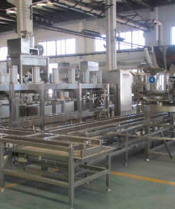 Dây chuyền sản xuất đậu phụ